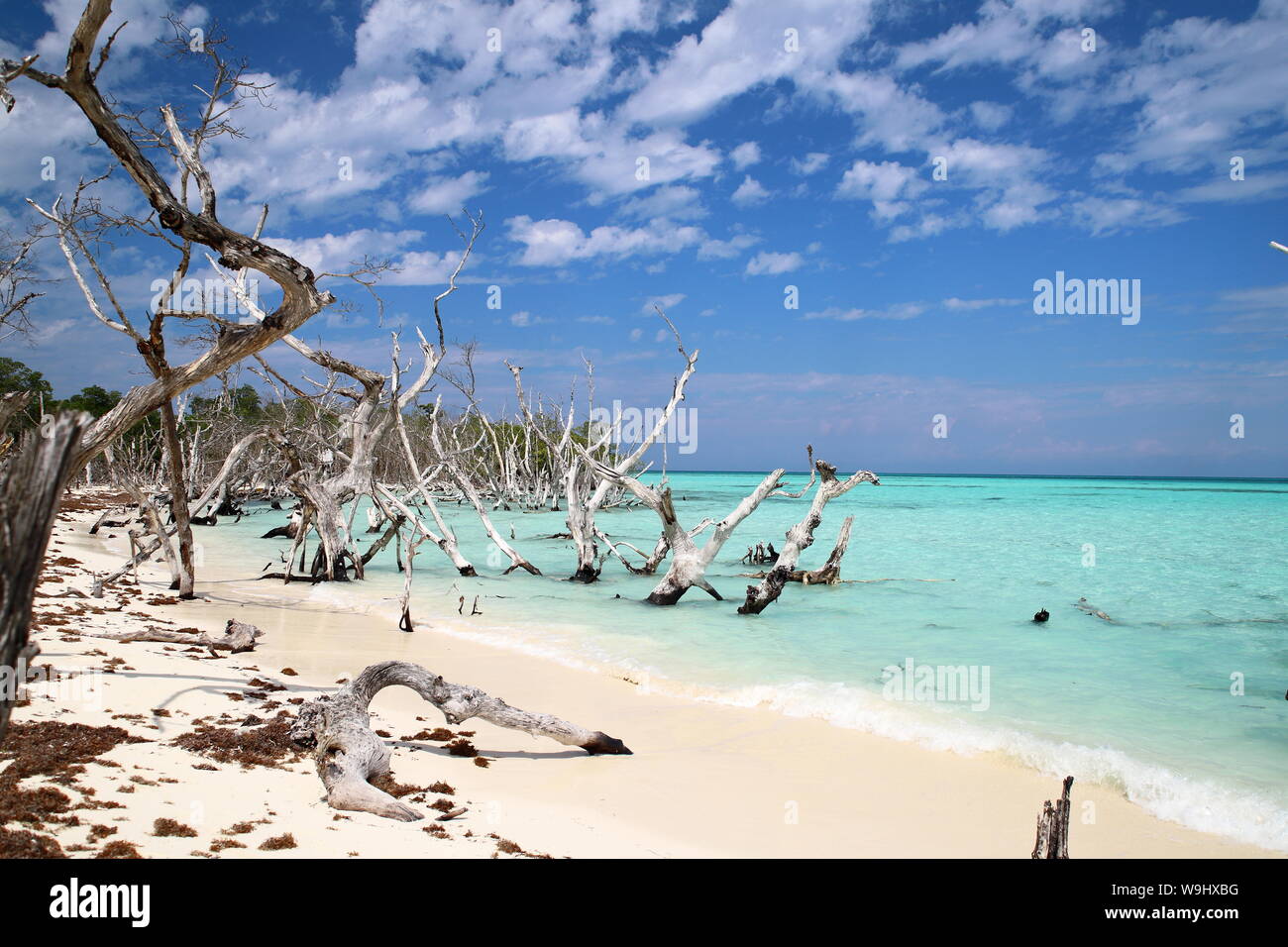 Playa de Cayo Levisa en Pinar del Rio, Cuba. Banque D'Images