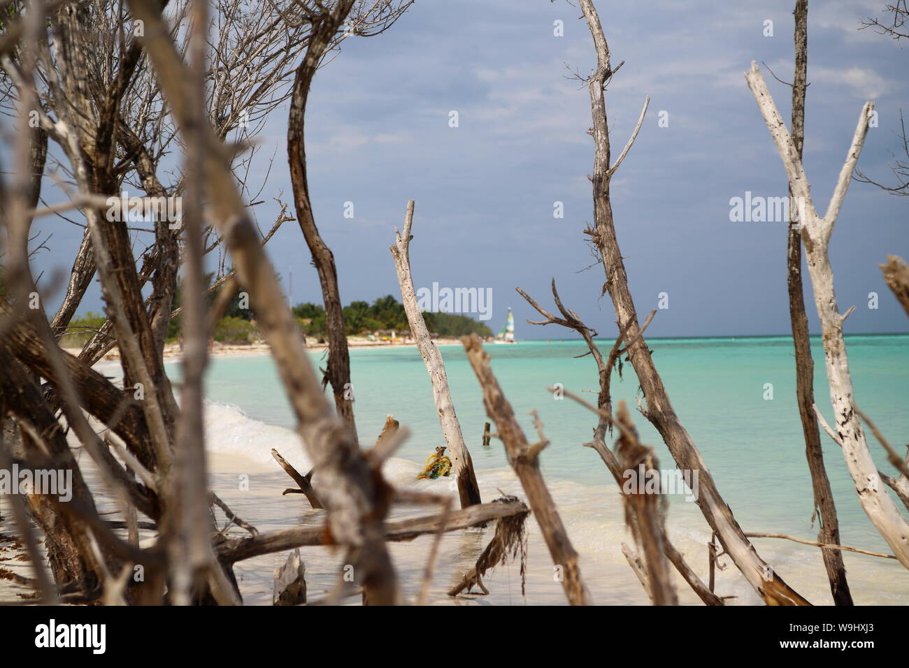 Playa de Cayo Levisa en Pinar del Rio, Cuba. Banque D'Images