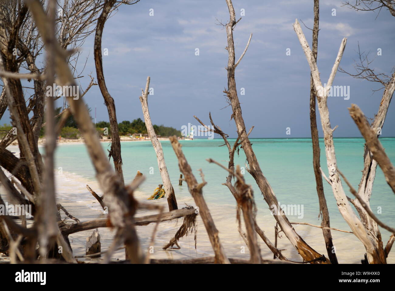 Playa de Cayo Levisa en Pinar del Rio, Cuba. Banque D'Images