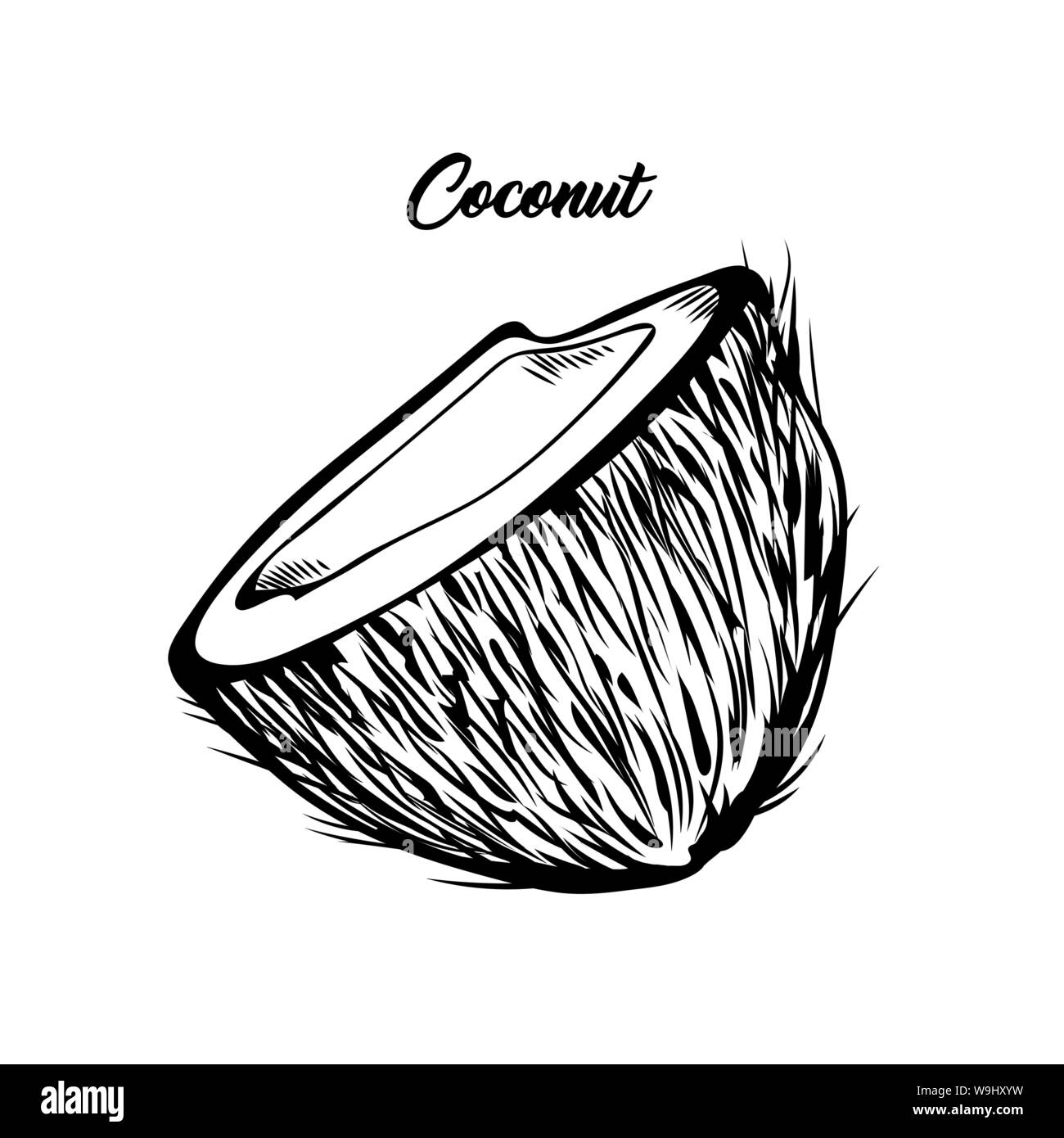 La moitié de la noix de coco illustration noir et blanc. La cuisine exotique, frais Fruits tropicaux avec lettrage. Vegan délicieux dessert, palmier naturel stylo encre foetus dessin. Bannière, élément de conception de cartes de souhaits Illustration de Vecteur