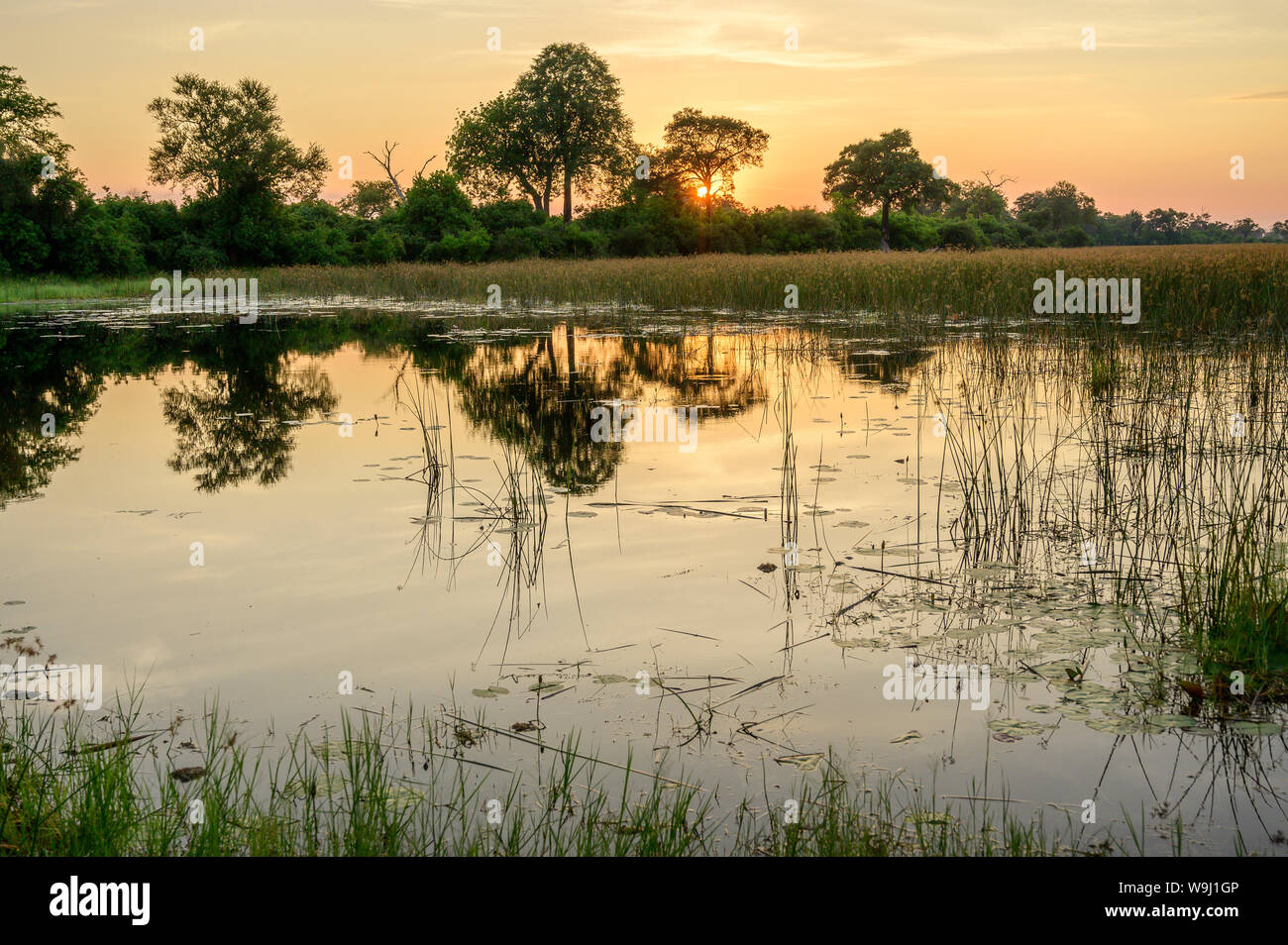 L'Afrique, Afrique australe, Afrique, Afrique, Botswana, Savuti, Okavango Delta, Sunrise, 30074400 *** *** légende locale l'Afrique, Afrique australe, Afrique Banque D'Images