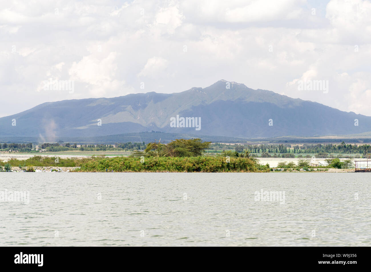 La ferme aux fleurs tentes par le lac Naivasha avec Mont Longonot en arrière-plan, Kenya, Afrique de l'Est Banque D'Images