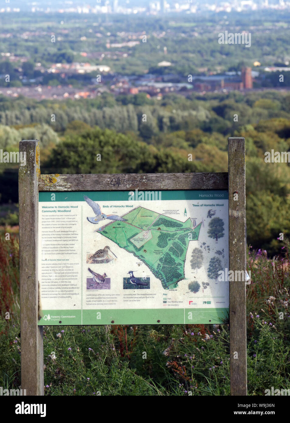 Forestry Commission Angleterre signe illustrant les arbres les oiseaux et vie sauvage dans les bois, forêts communautaires Horrocks Bolton et Manchester dans la distance Banque D'Images