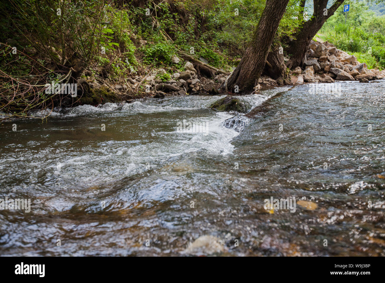 Forêt d'été l'eau du ruisseau clair circulant sur des pierres sur beau jour dans la nature. Nature étonnante en Serbie. L'aventure et l'exploration. Banque D'Images