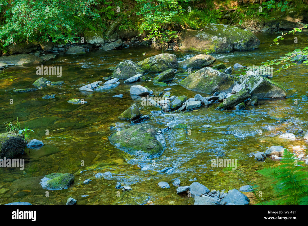 La belle vallée boisée de la rivière Barle est également intéressant d'étudier pour sa faune, comme c'est la lande de Winsford Hill Banque D'Images