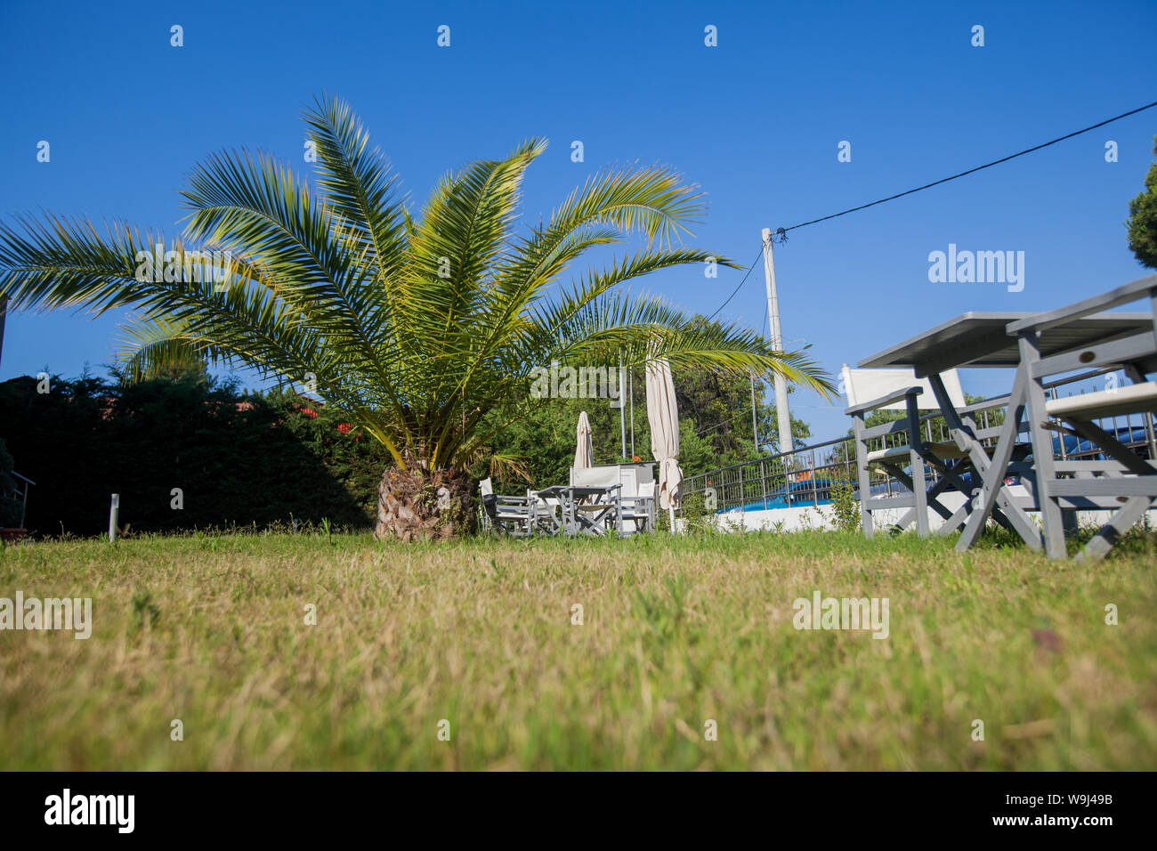 Location vacances cour avec palmiers et sur l'herbe verte journée d'été. Banque D'Images