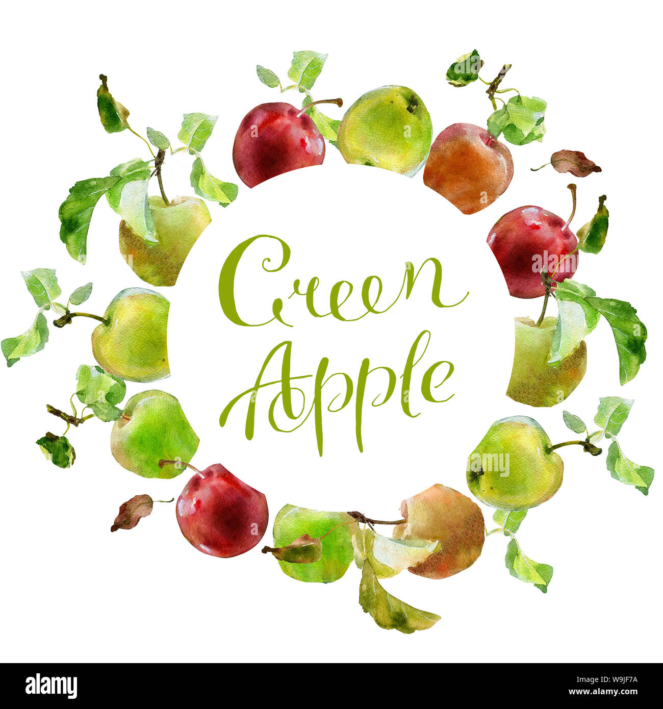 Illustration de l'aquarelle apple, faites à la main dans les années 1950 ou des années 1960. Concept pour le Farmers Market, produits bio, produit naturel, design package soap, Banque D'Images