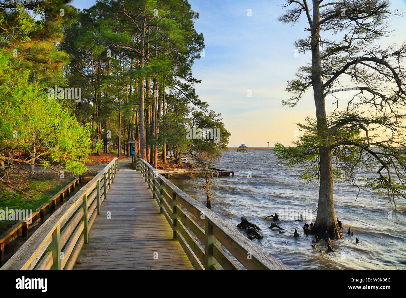 Soundfront Sentier Nature, Currituck Sound, Corolla, North Carolina, USA Banque D'Images