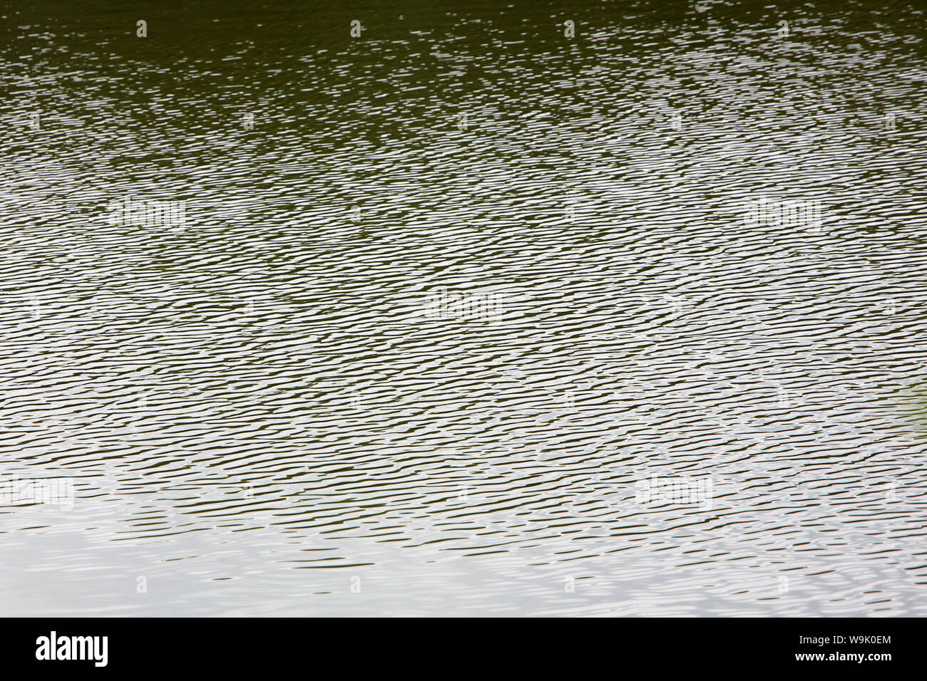 Plan d'eau. Etang. Ville d'Avray. / Plan d'eau. Étang. Ville d'Avray