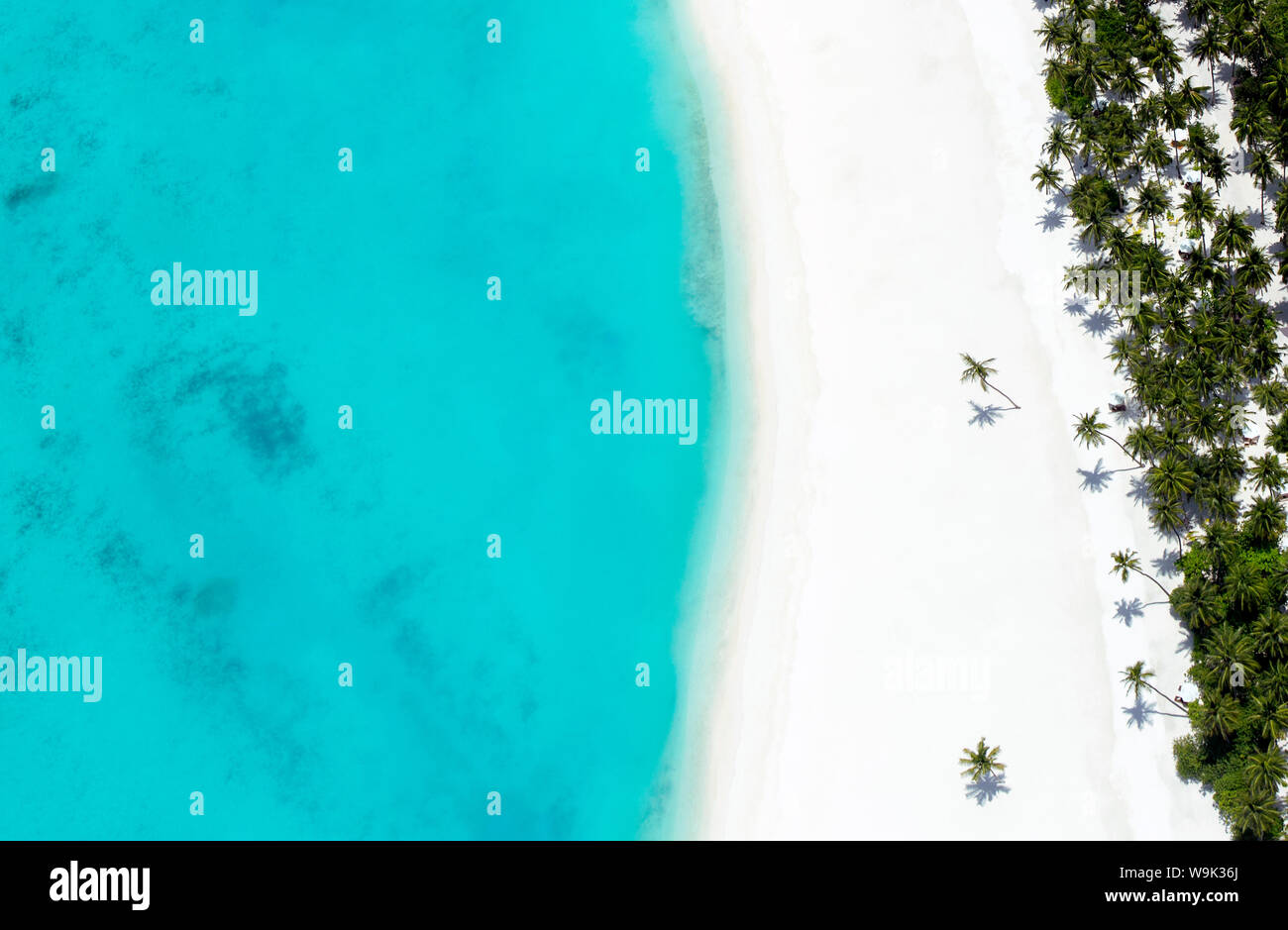 Vue aérienne de la plage et le lagon tropical, les Maldives, l'Océan Indien, l'Asie Banque D'Images