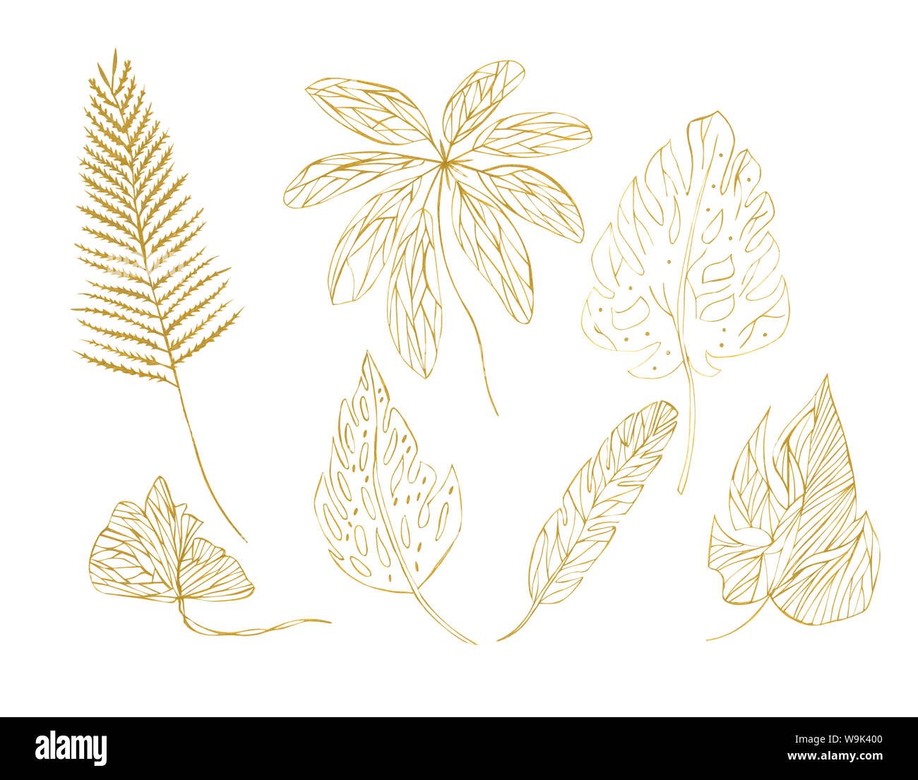 Illustration croquis dessin contour orange feuilles de plantes exotiques sur fond blanc couche isolée comme un ensemble Banque D'Images
