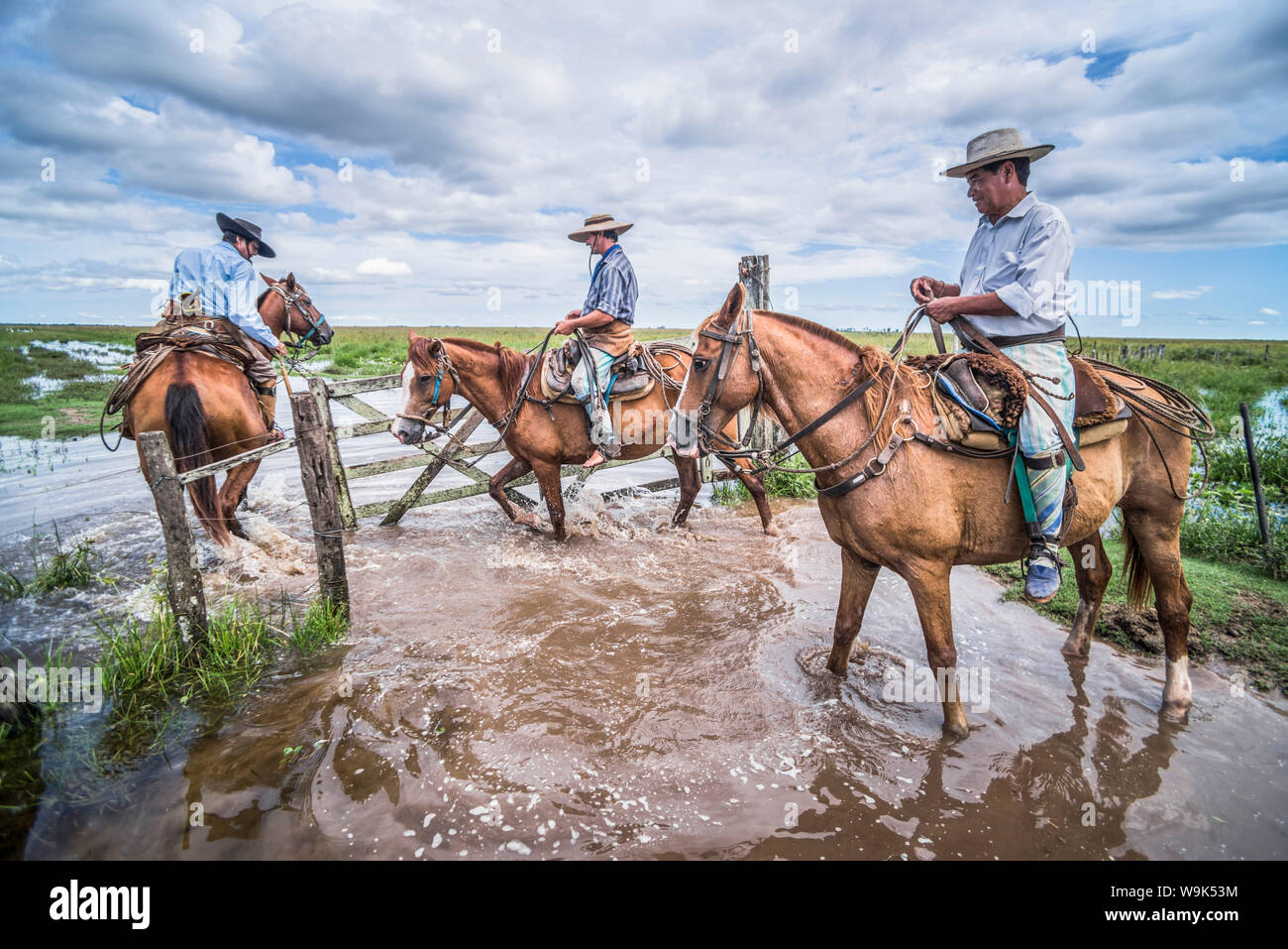 Gauchos argentins traditionnels sur une ferme de bétail, l'Estancia San Juan Poriahu, Ibera Wetlands, Province de Corrientes, Argentine, Amérique du Sud Banque D'Images