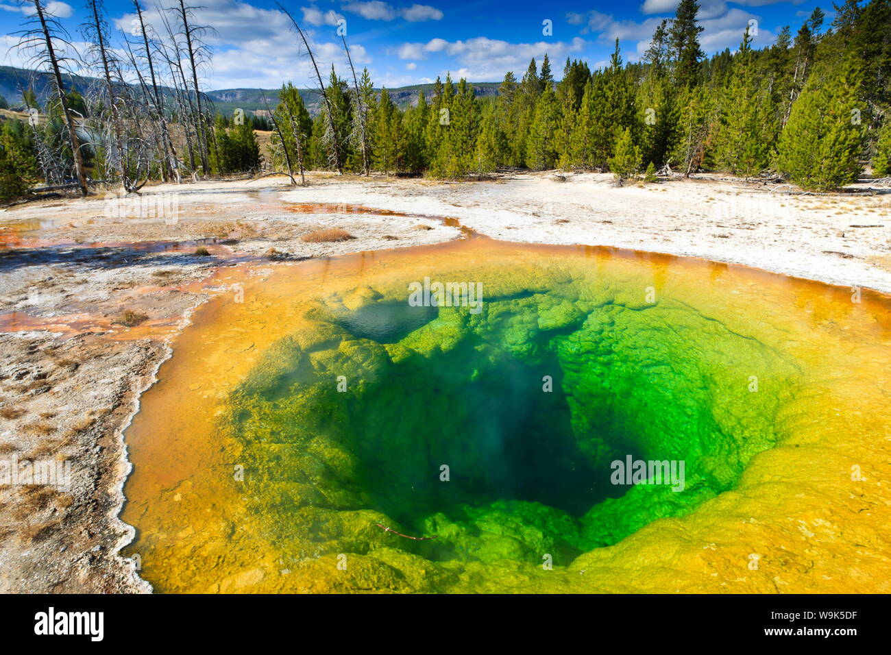 Gloire du matin et piscine, entoure le parc national de Yellowstone, UNESCO World Heritage Site, Wyoming, États-Unis d'Amérique, Amérique du Nord Banque D'Images