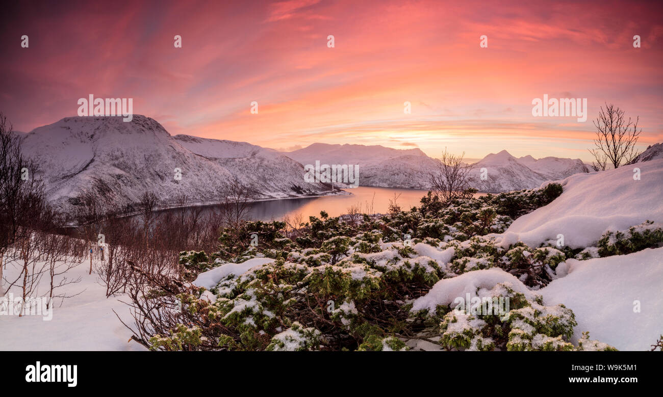 Panorama de la mer congelés entouré par la neige encadré par le ciel orange au coucher du soleil, de Torsken, Senja, Troms County, arctique, Norway, Scandinavia, Europe Banque D'Images