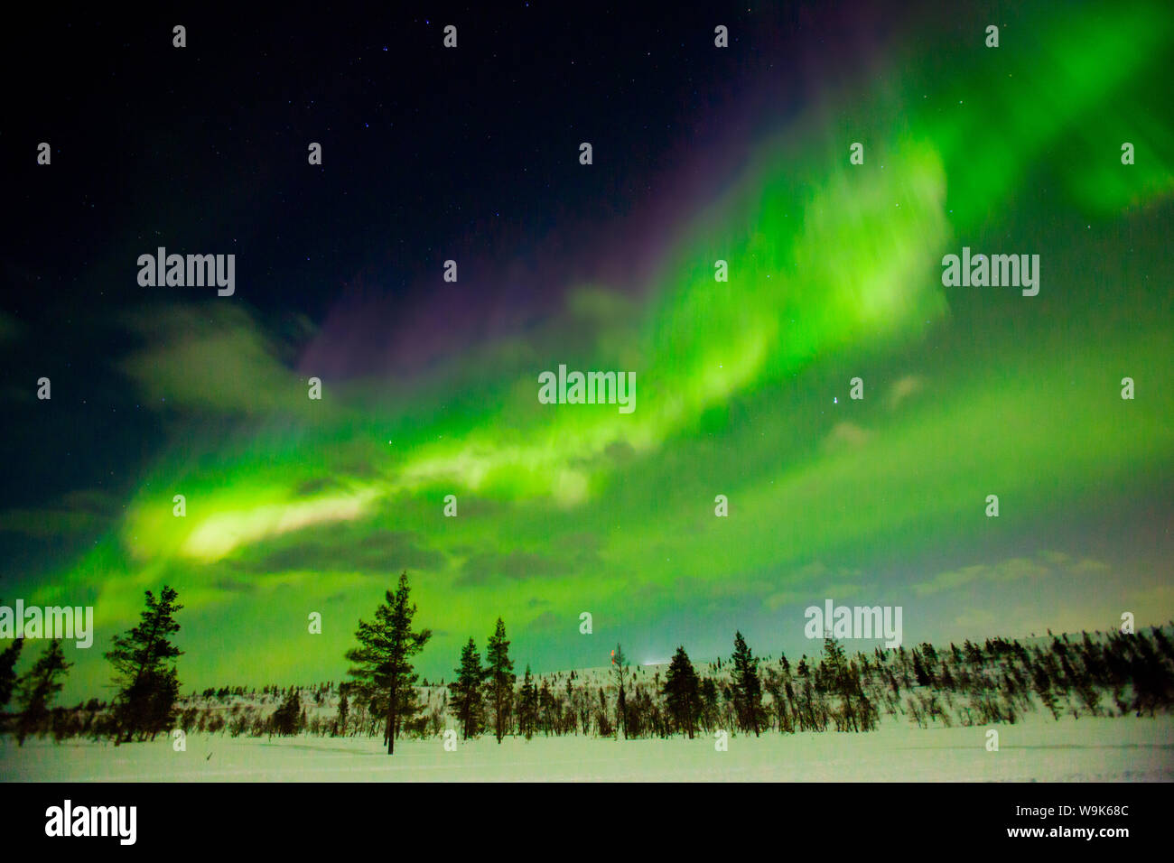 Aurore boréale (la Northern Lights) sur Igloo Village Kakslauttanen Ouest, Rauma, Finlande, Scandinavie, Europe Banque D'Images
