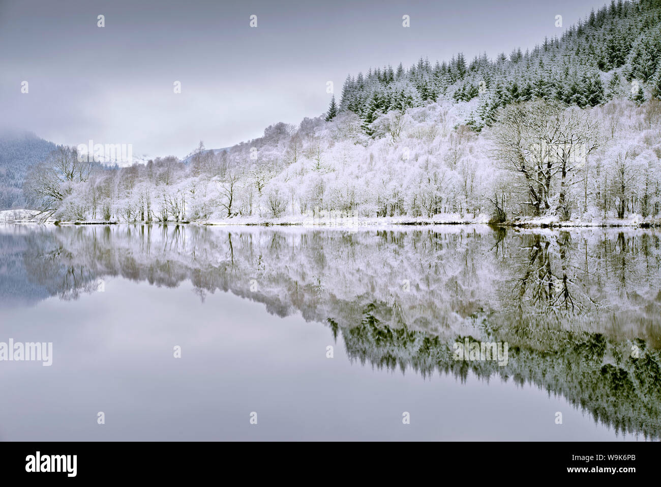 Réflexions sur le Loch Chon en hiver, Aberfoyle, Stirling, les Trossachs, Ecosse, Royaume-Uni, Europe Banque D'Images