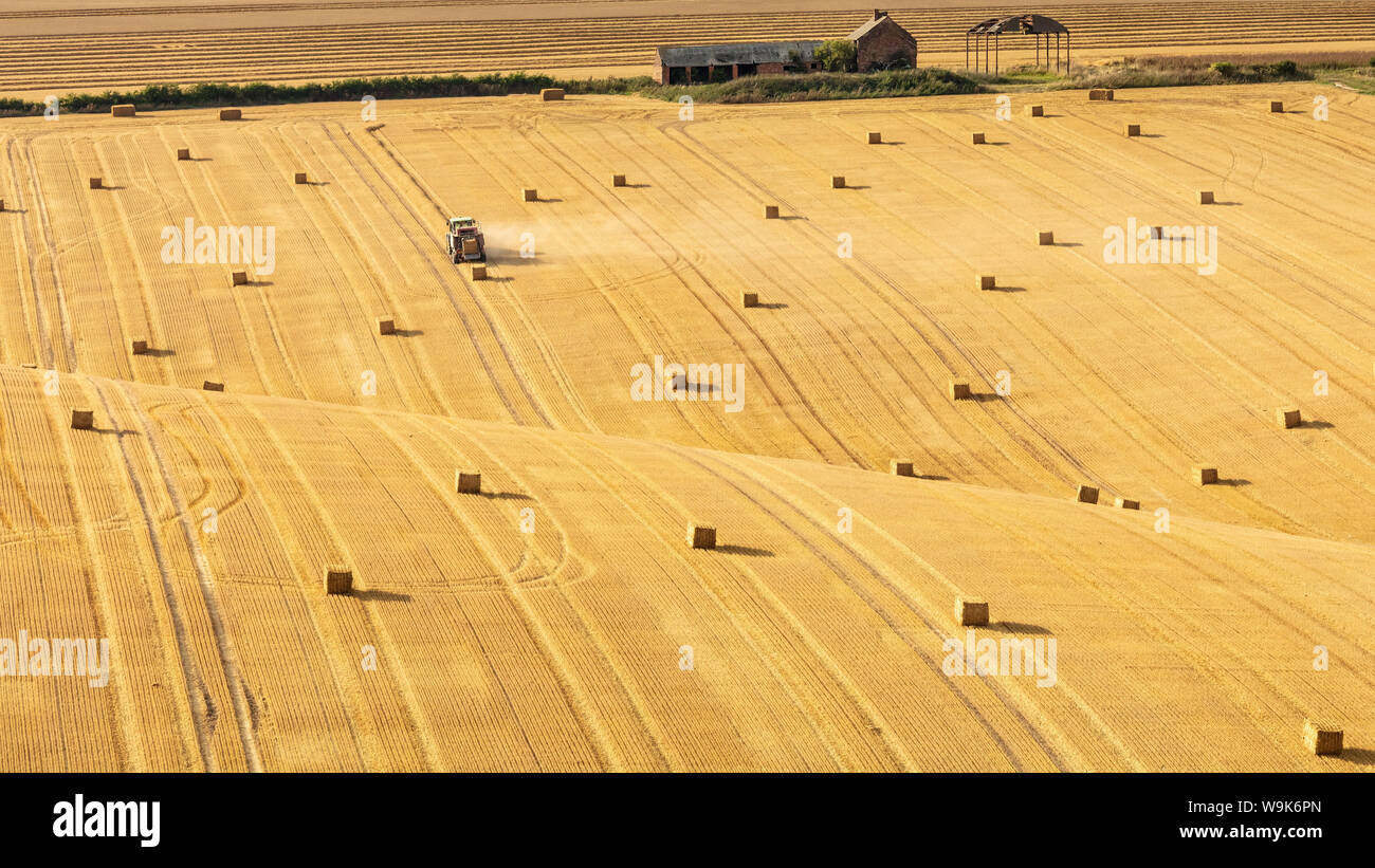 Bottes de foin sur des champs de craie près du village de Askrigg, sur l'East Yorkshire Wolds, Yorkshire, Angleterre, Royaume-Uni, Europe Banque D'Images