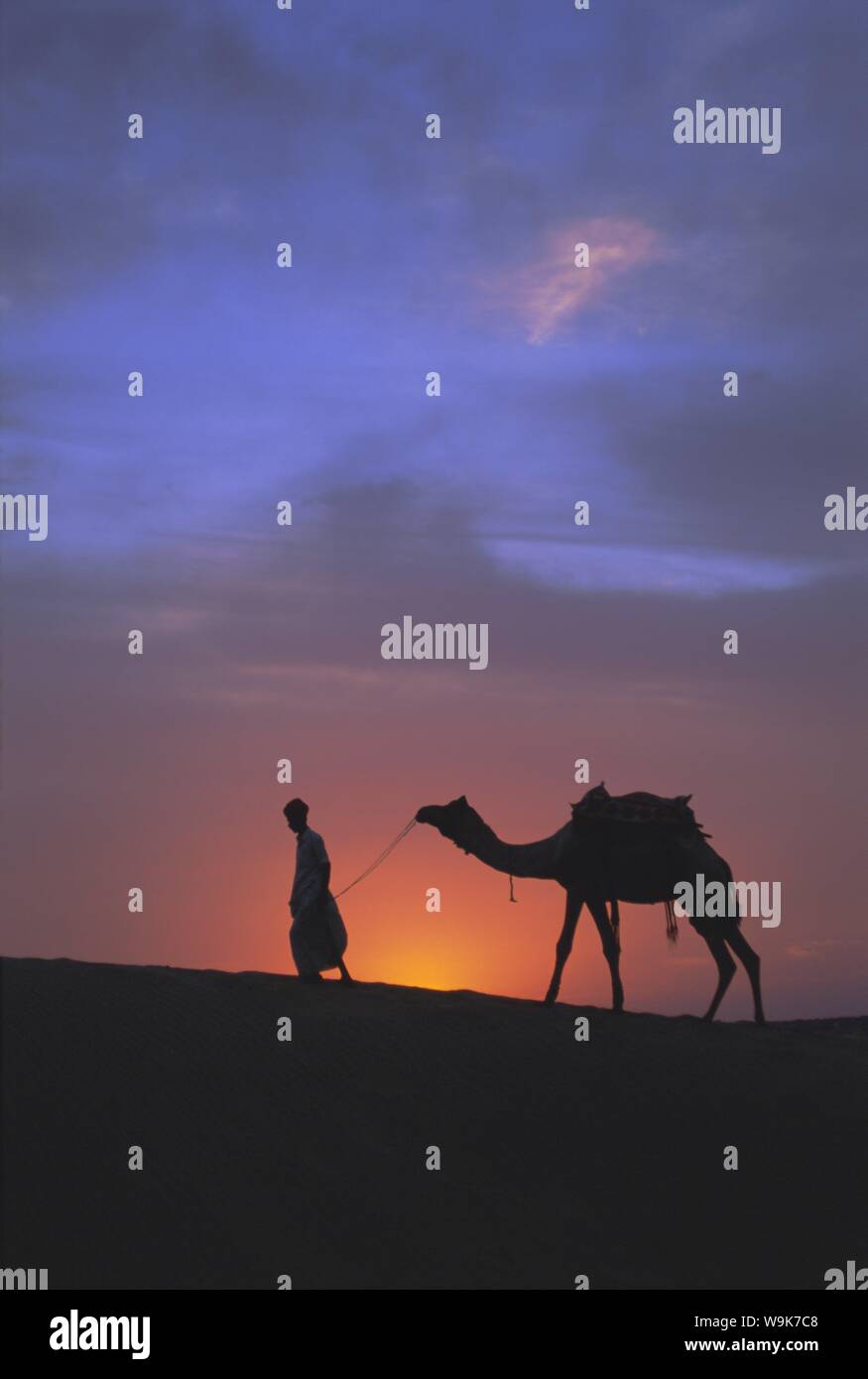 Camel silhouette sur le coucher du soleil, désert de Thar, près de Jaisalmer, Rajasthan, Inde, Asie Banque D'Images