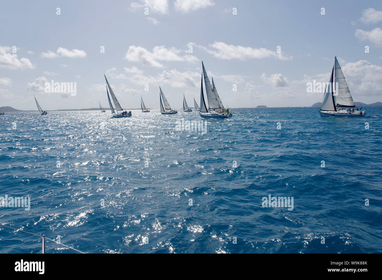 Voilier régates. Îles Vierges britanniques, Antilles, Caraïbes, Amérique Centrale Banque D'Images