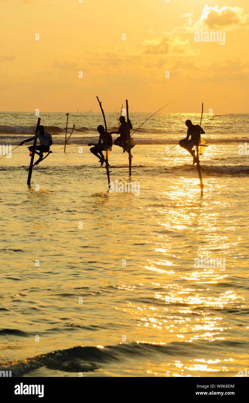 Les pêcheurs sur échasses, Dalawella, Sri Lanka, de l'Océan Indien, l'Asie Banque D'Images