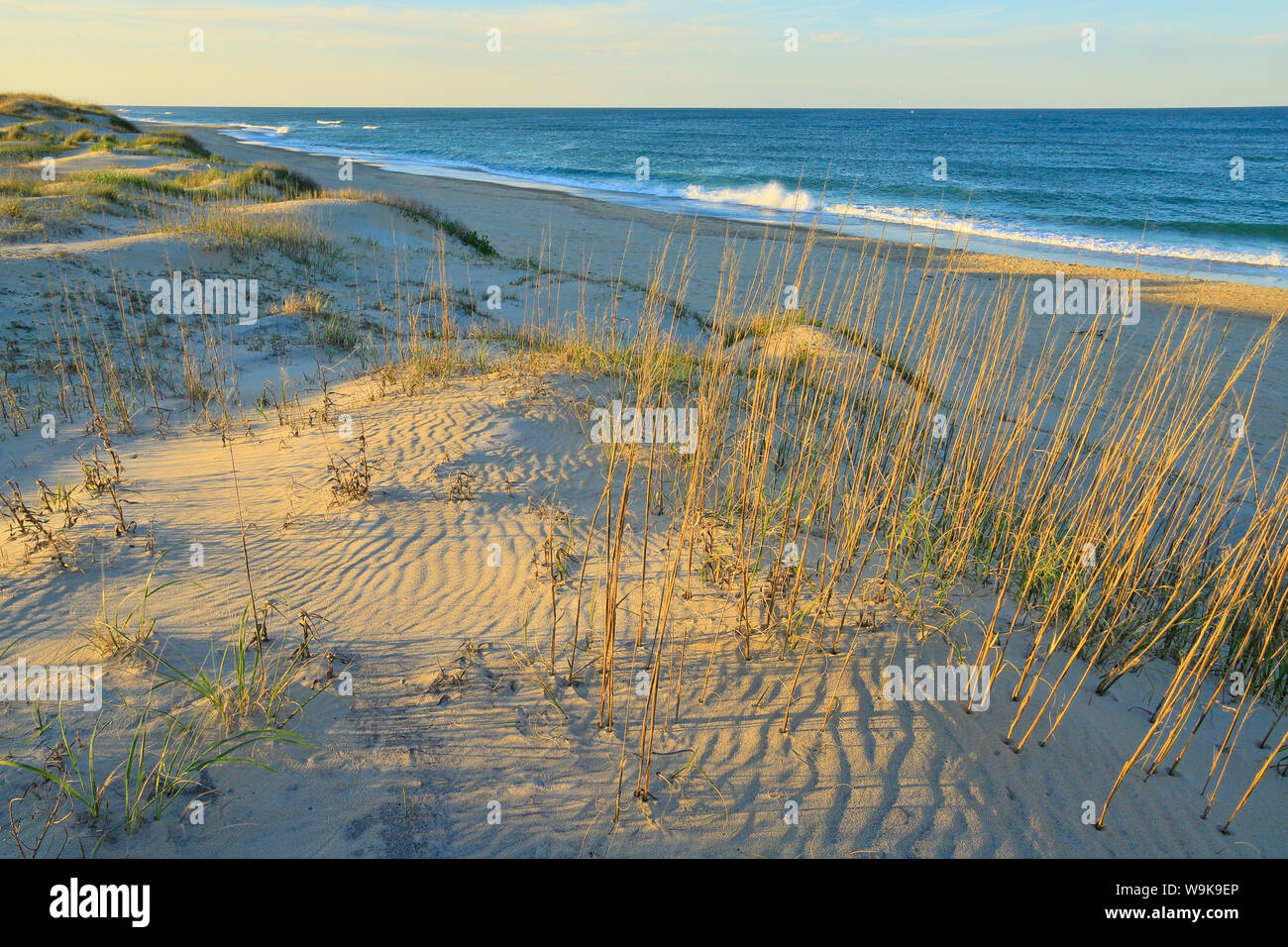 Le coucher du soleil, Plage de Coquina, Bodie Island, Cape Hatteras National Seashore, baleine, North Carolina, USA Banque D'Images