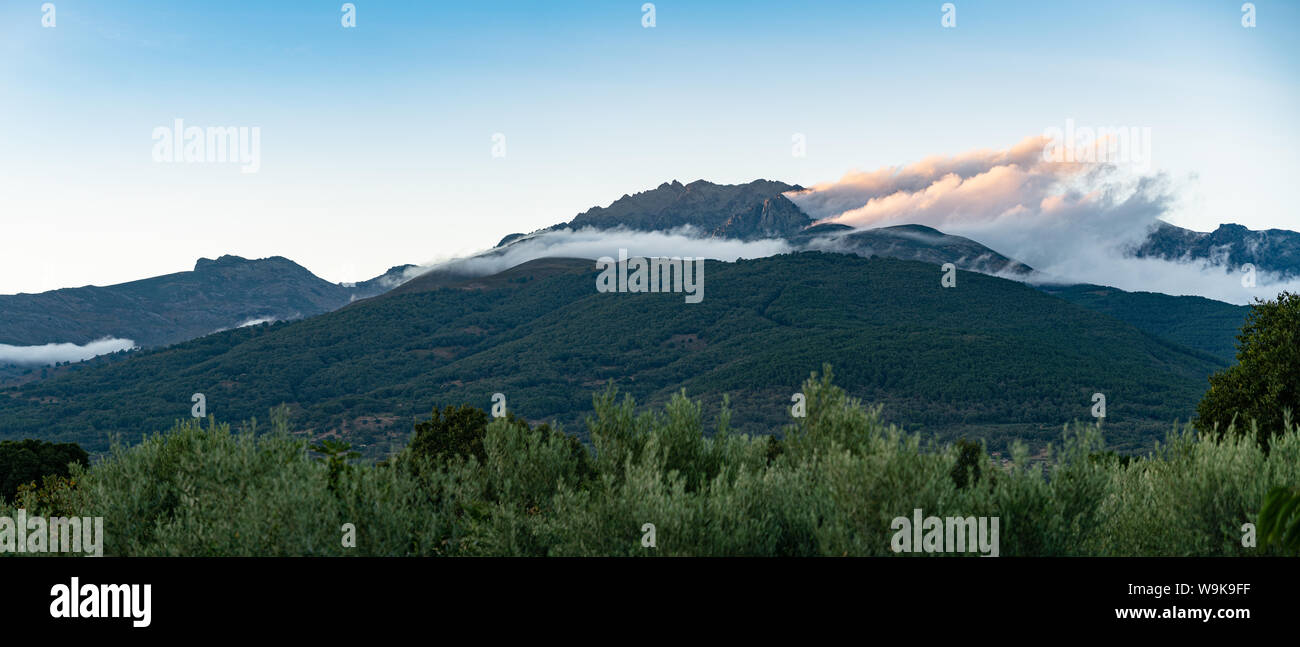La montagne de Gredos rage vue de Candeleda, au crépuscule, Avila Banque D'Images