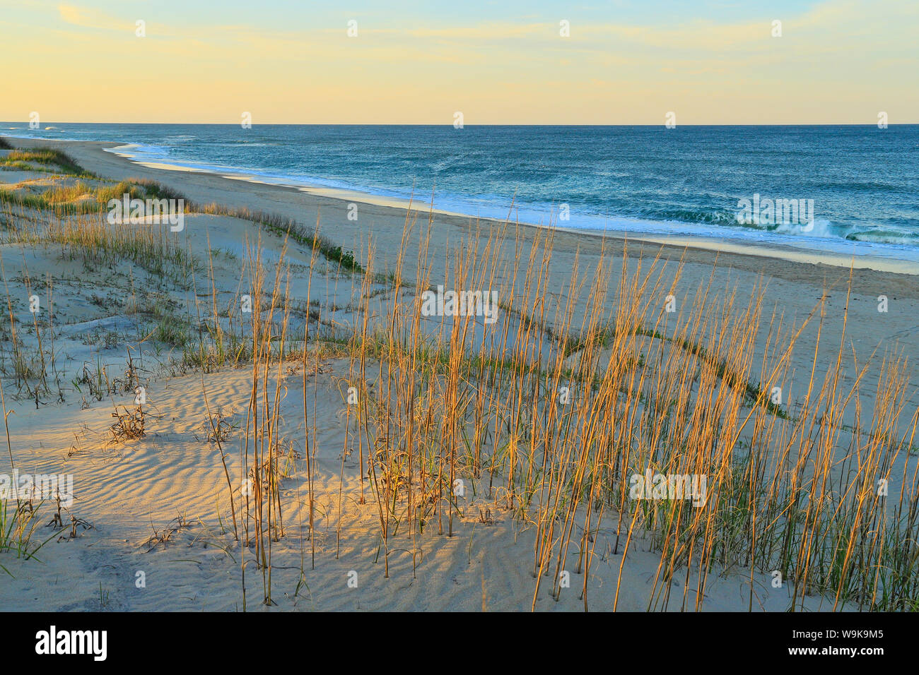 Le coucher du soleil, Plage de Coquina, Bodie Island, Cape Hatteras National Seashore, baleine, North Carolina, USA Banque D'Images