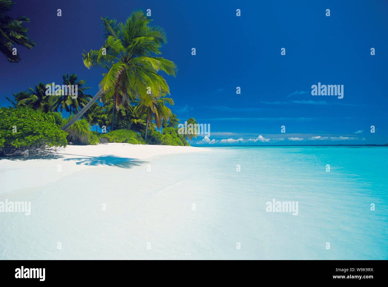 Île et lagon, Maldives, océan Indien, Asie Banque D'Images