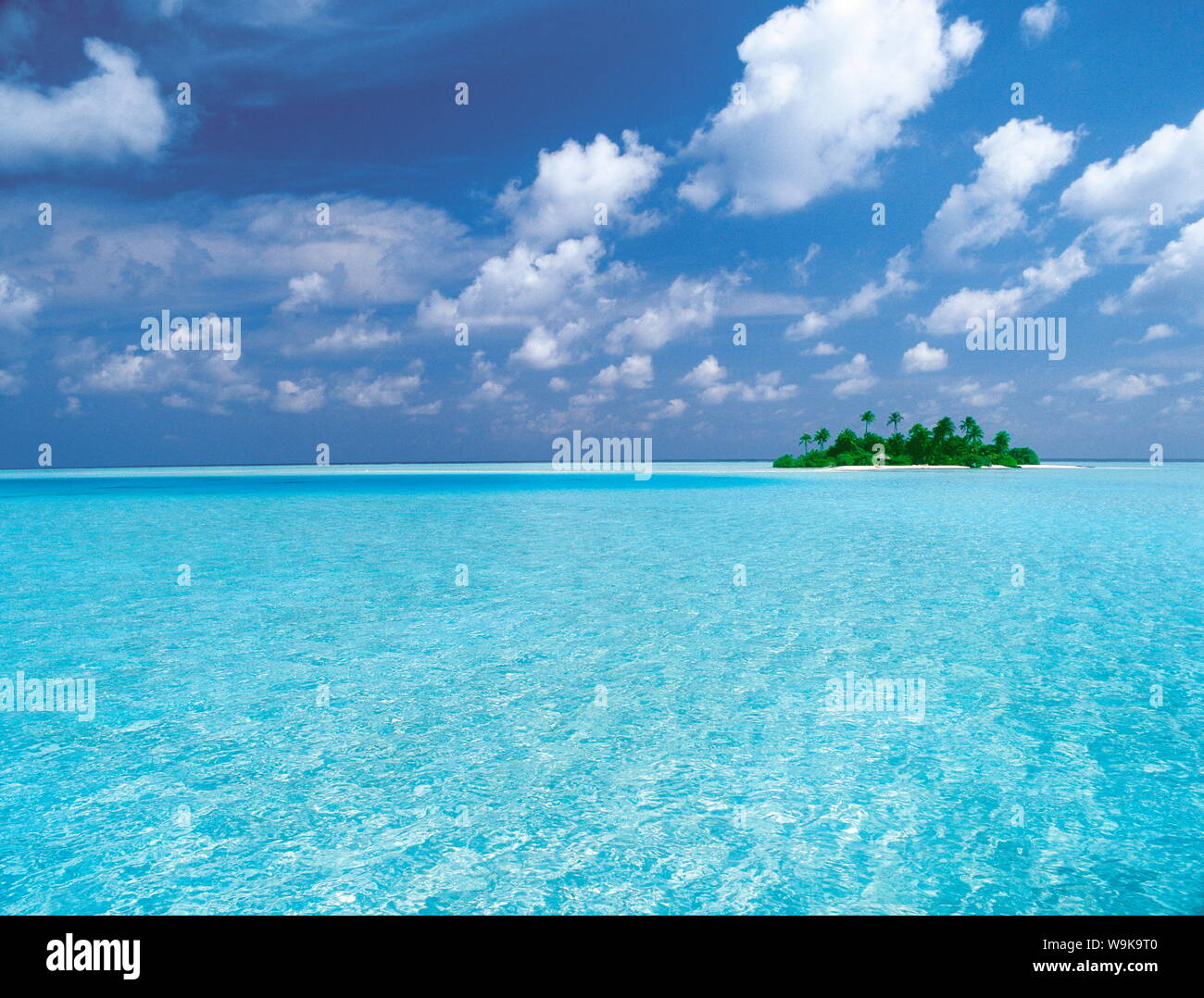 Île tropicale entourée de lagon, Maldives, océan Indien, Asie Banque D'Images