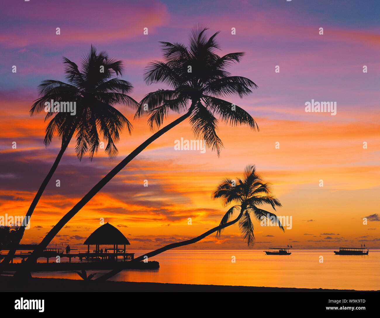 Palmiers et l'océan au coucher du soleil, les Maldives, l'Océan Indien, l'Asie Banque D'Images