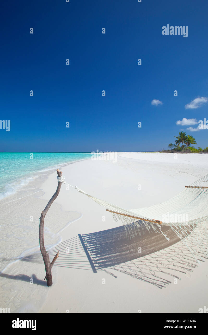 Hamac sur la plage tropicale, Maldives, océan Indien, Asie Banque D'Images