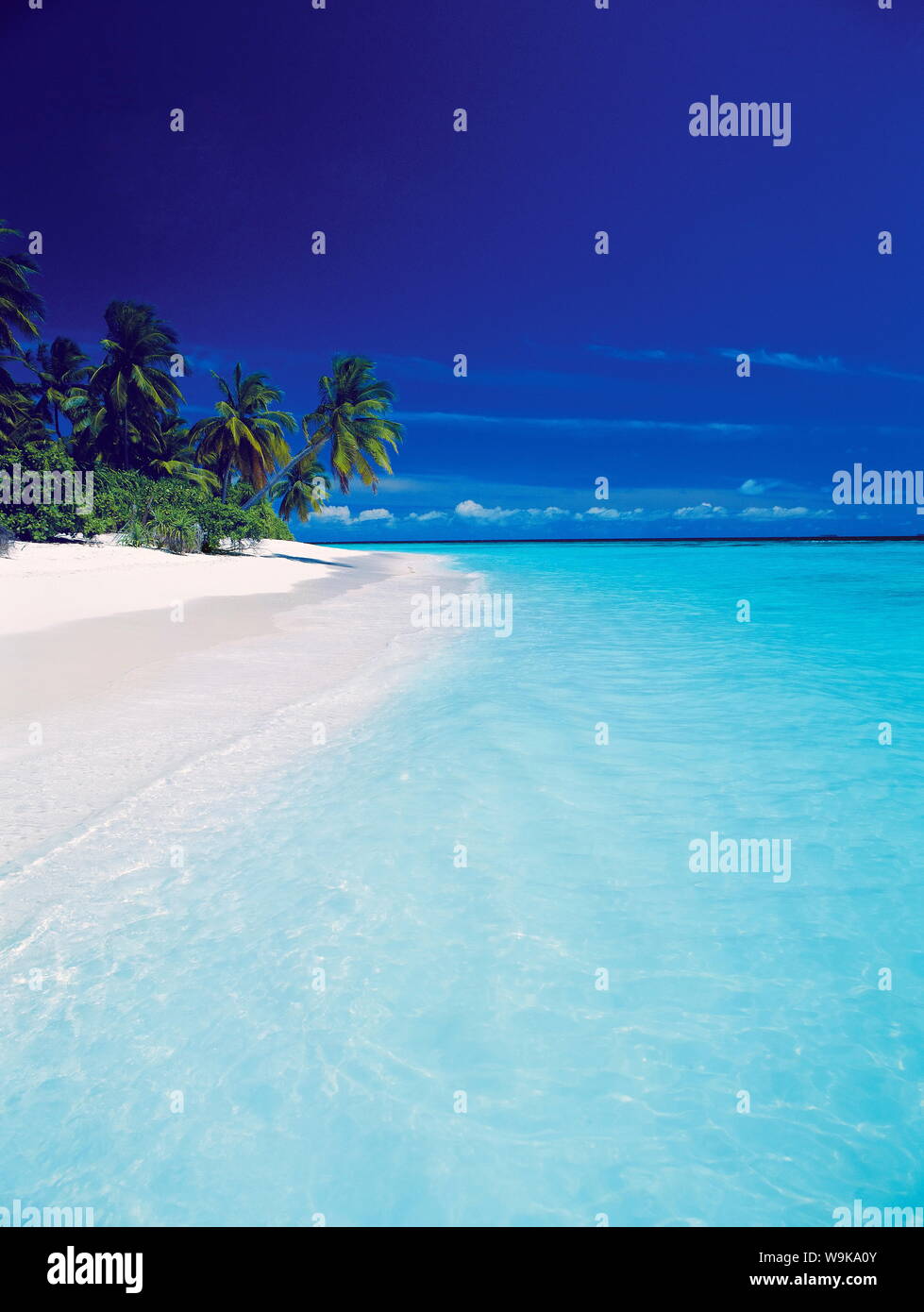 Île et lagon, Maldives, océan Indien, Asie Banque D'Images