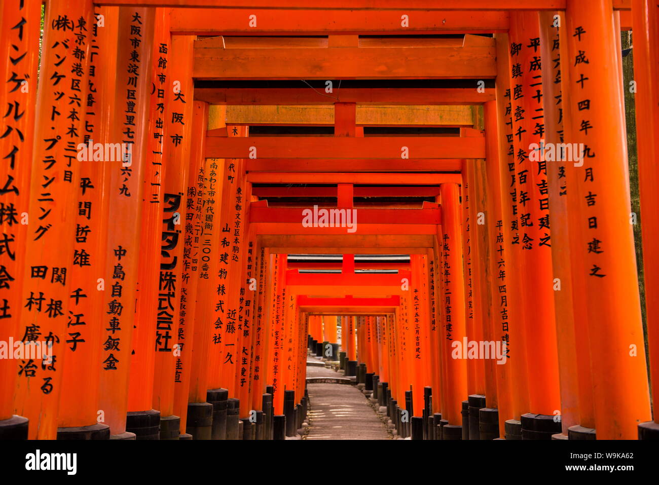 Les portes rouge sans fin (torii) de sanctuaire Fushimi Inari de Kyoto, Kyoto, Japon, Asie Banque D'Images
