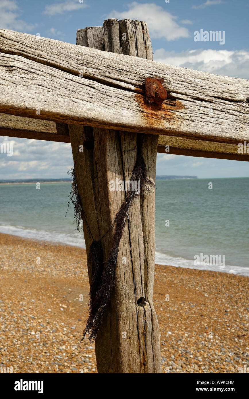 Épi en bois sur la plage de galets à Pevensey, East Sussex, UK Banque D'Images