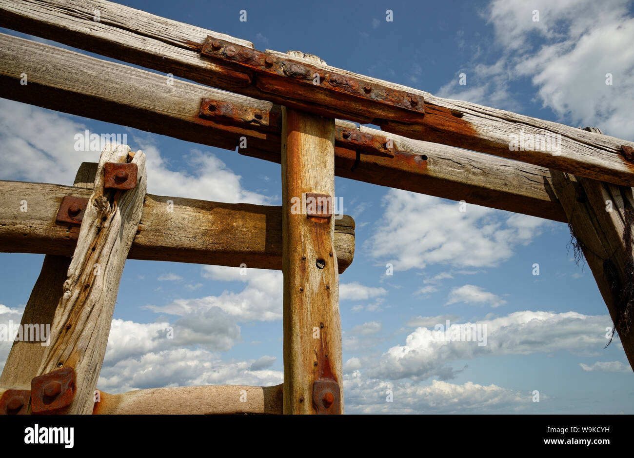 Épi en bois sur la plage de galets à Pevensey, East Sussex, UK Banque D'Images