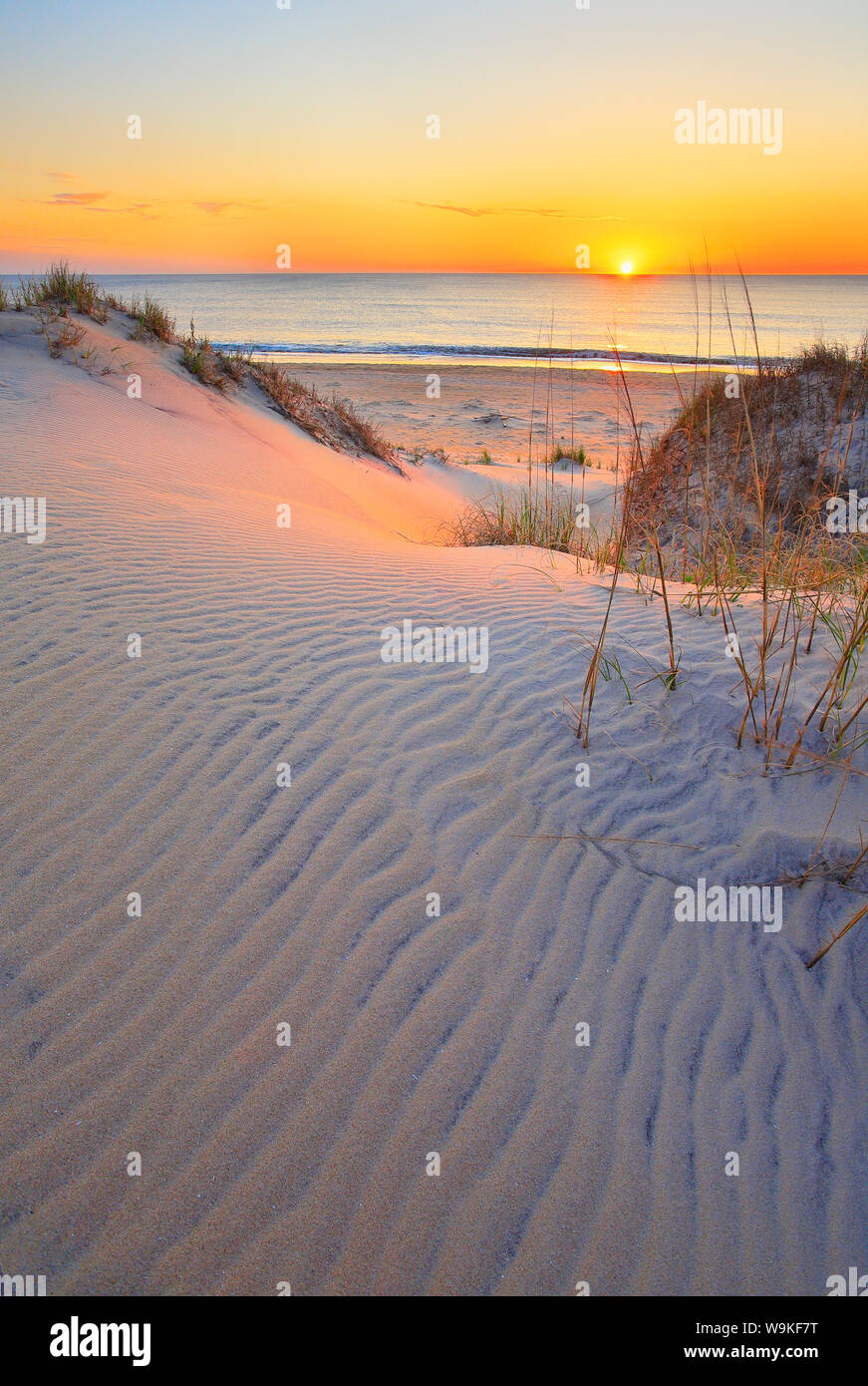Le lever du soleil, Plage de Coquina, Bodie Island, Cape Hatteras National Seashore, baleine, North Carolina, USA Banque D'Images