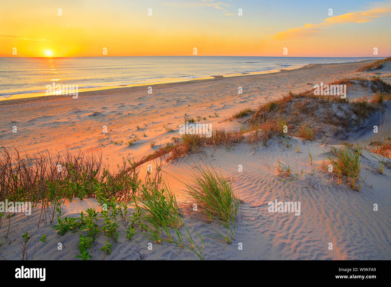 Le lever du soleil, Plage de Coquina, Bodie Island, Cape Hatteras National Seashore, baleine, North Carolina, USA Banque D'Images