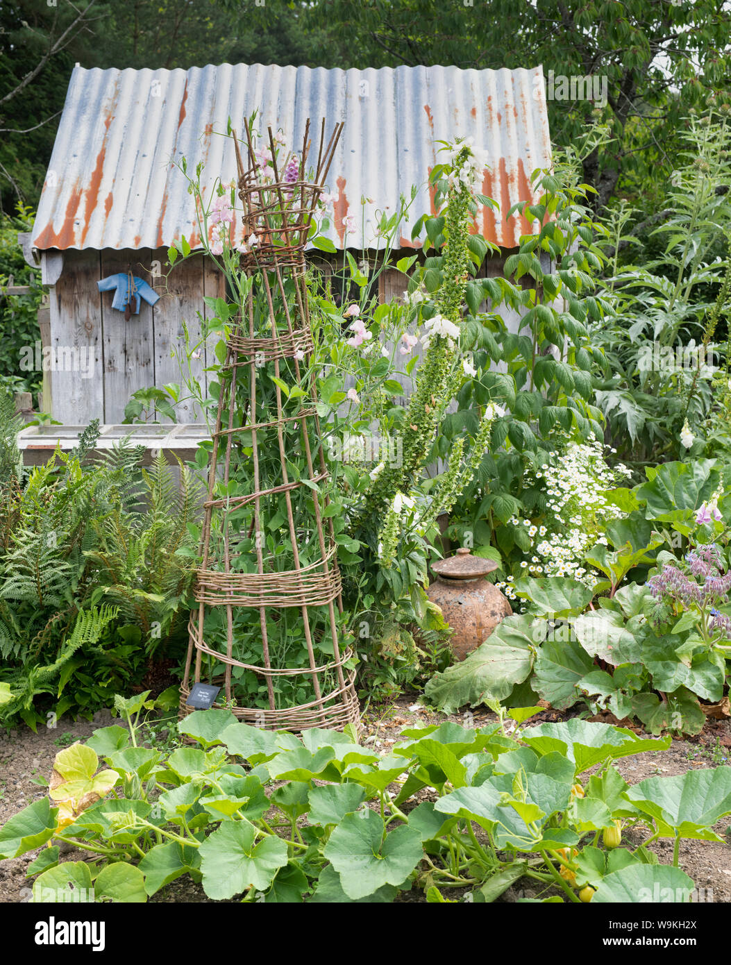 M. Mcgregor's garden Rosemoor à RHS Gardens, Great Torrington, Devon, Angleterre Banque D'Images