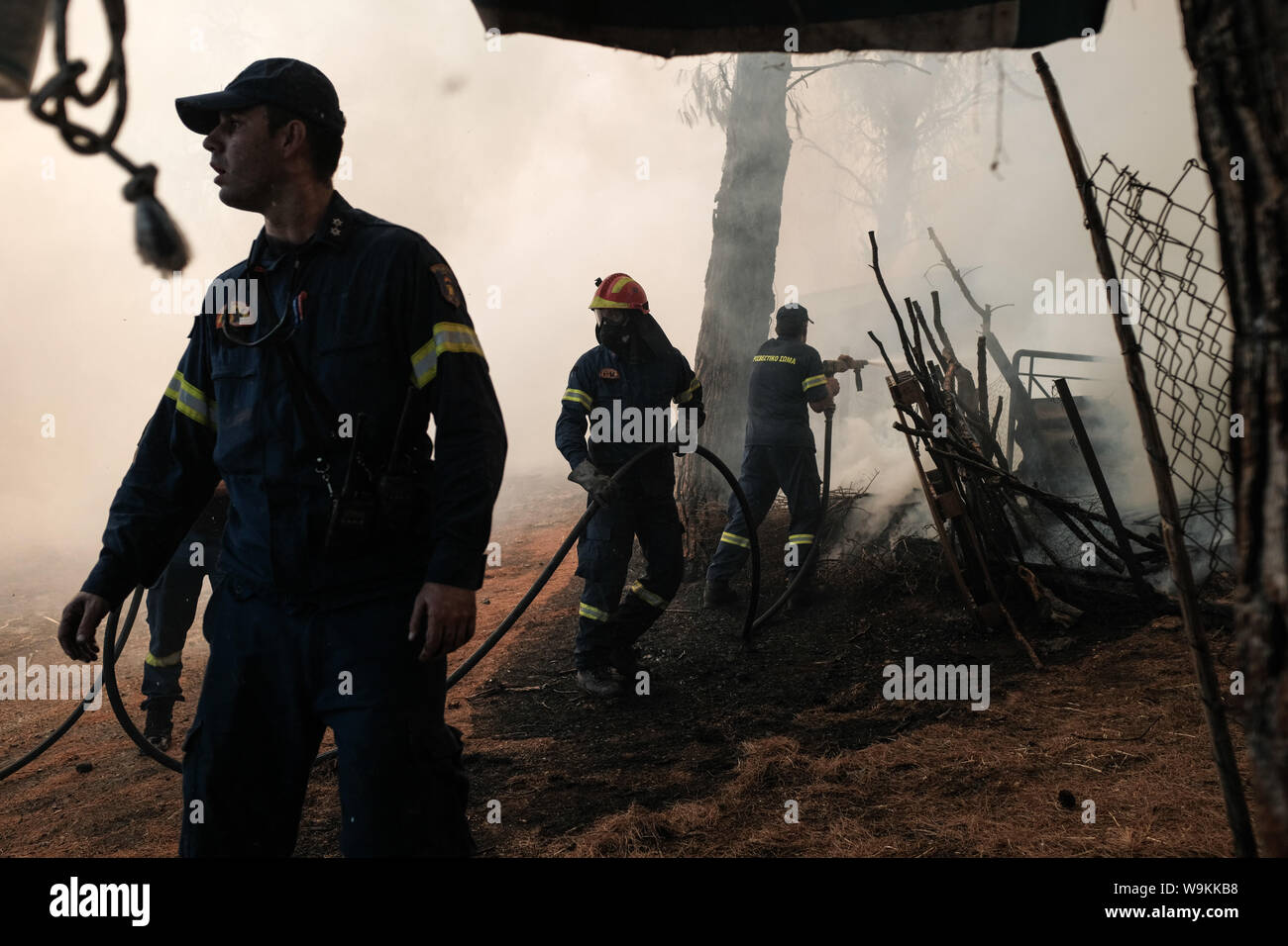 Athènes, Grèce. 14 août 2019. Les pompiers éteindre un incendie à Makrymalli village, sur l'île d'Eubée, Grèce, le 14 août 2019. Dans le contexte des efforts pour éteindre un feu destructeur, Premier Ministre grec Kyriakos Mitsotakis le mercredi a appelé à renforcer la coopération entre les pays de l'Union européenne (UE) membres pour lutter contre les catastrophes naturelles. Il a fait l'appel au cours d'une visite à l'île de Evia frappés par l'incendie. Source : Xinhua/Alamy Live News Banque D'Images