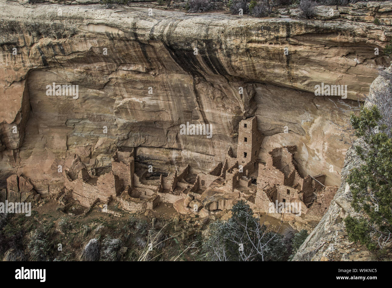 Vieille ville de caverne à Mesa Verde National Park Banque D'Images