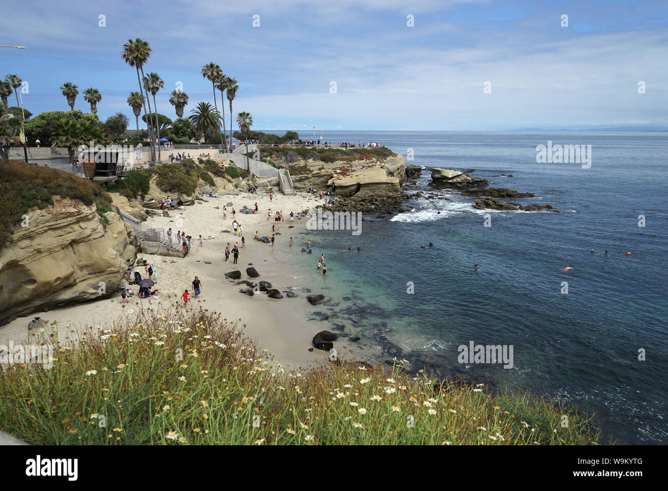 La Jolla Cove est populaire auprès des plongeurs, nageurs et plongeurs. Banque D'Images