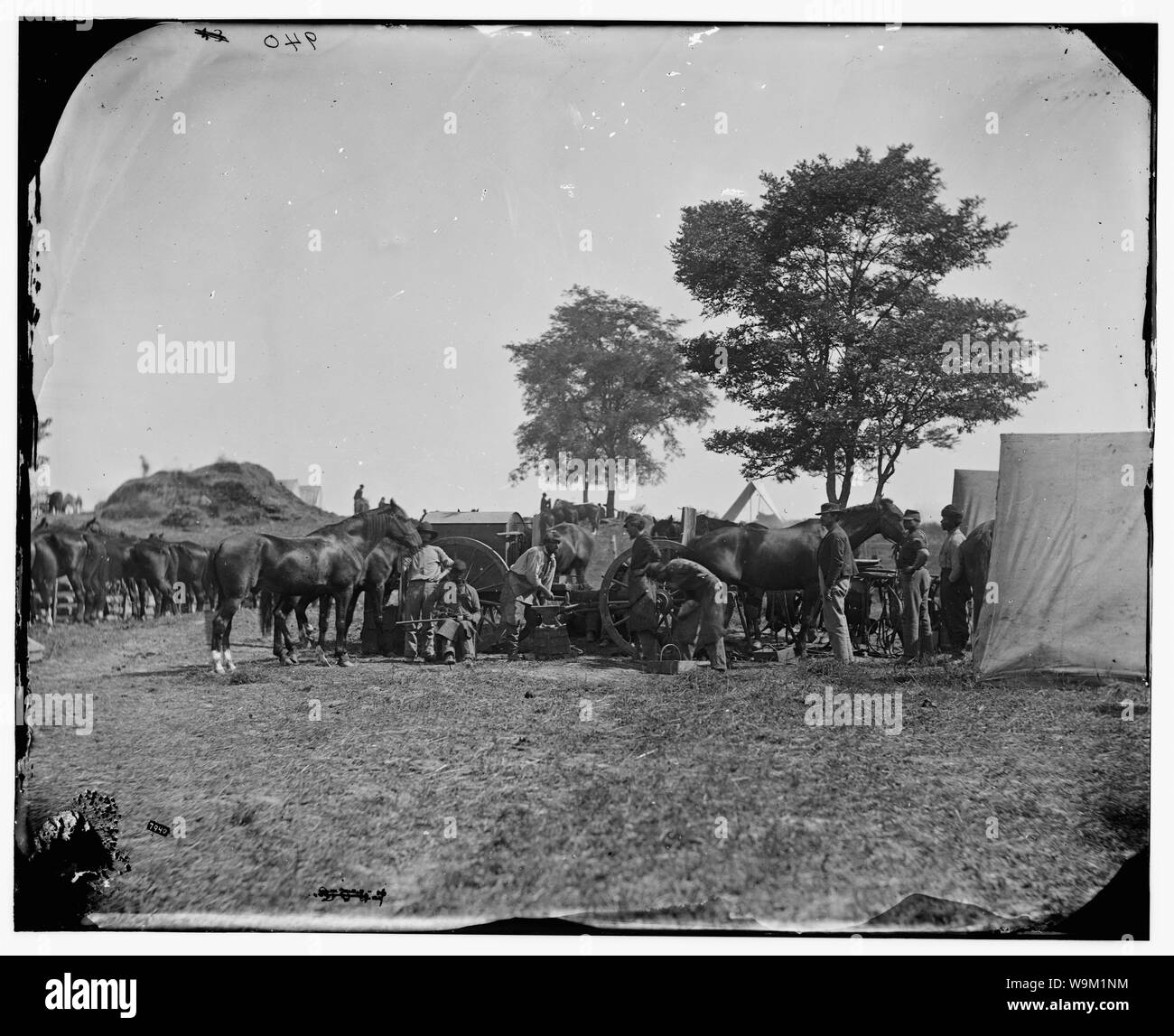 Antietam, Maryland Blacksmith ferrer les chevaux à l'administration centrale, de l'armée du Potomac Résumé : Guerre civile sélectionné des photographies, 1861-1865 Banque D'Images