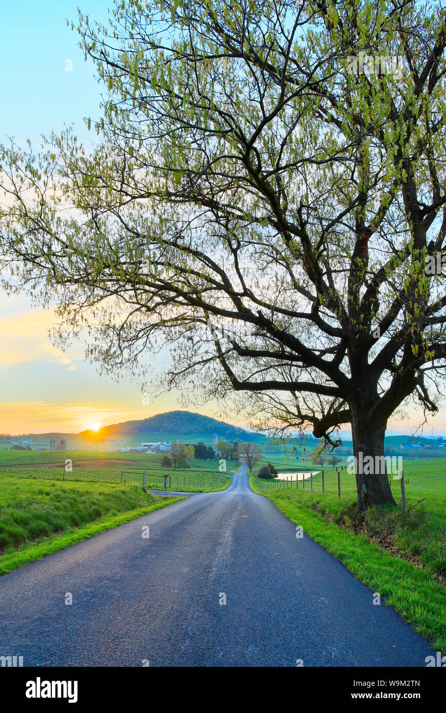 Le lever du soleil, Dayton, vallée de Shenandoah, en Virginie, USA Banque D'Images