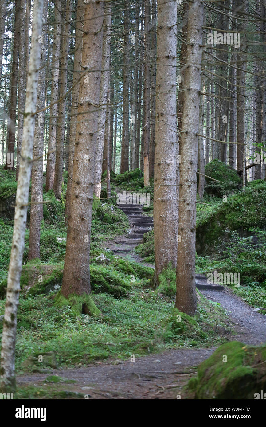 Idylllischer Voir Piburger beim Wald Banque D'Images