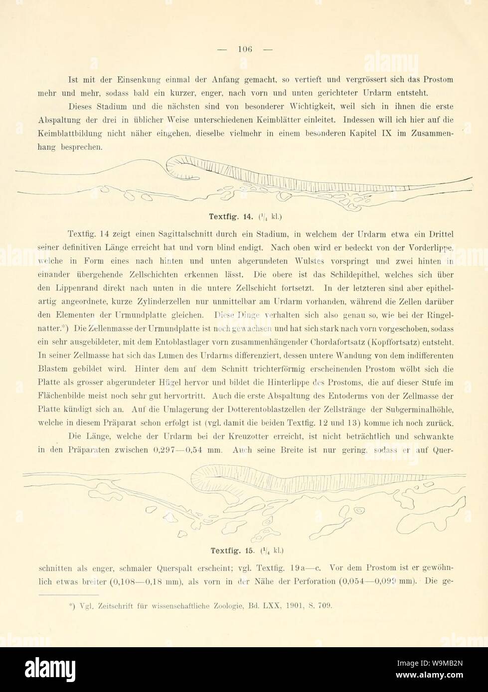 Die Entwickelungsgeschichte der Kreuzotter (Pelias berus Merr.) (page 106, fig. 14-15) Banque D'Images