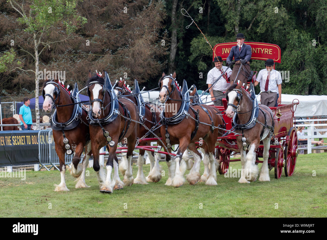 Turriff, Ecosse - Aug 05, 2019 : Affichage des chevaux et les wagons pendant la cheval lourd de participation à l'Exposition agricole Turriff en Ecosse. Banque D'Images