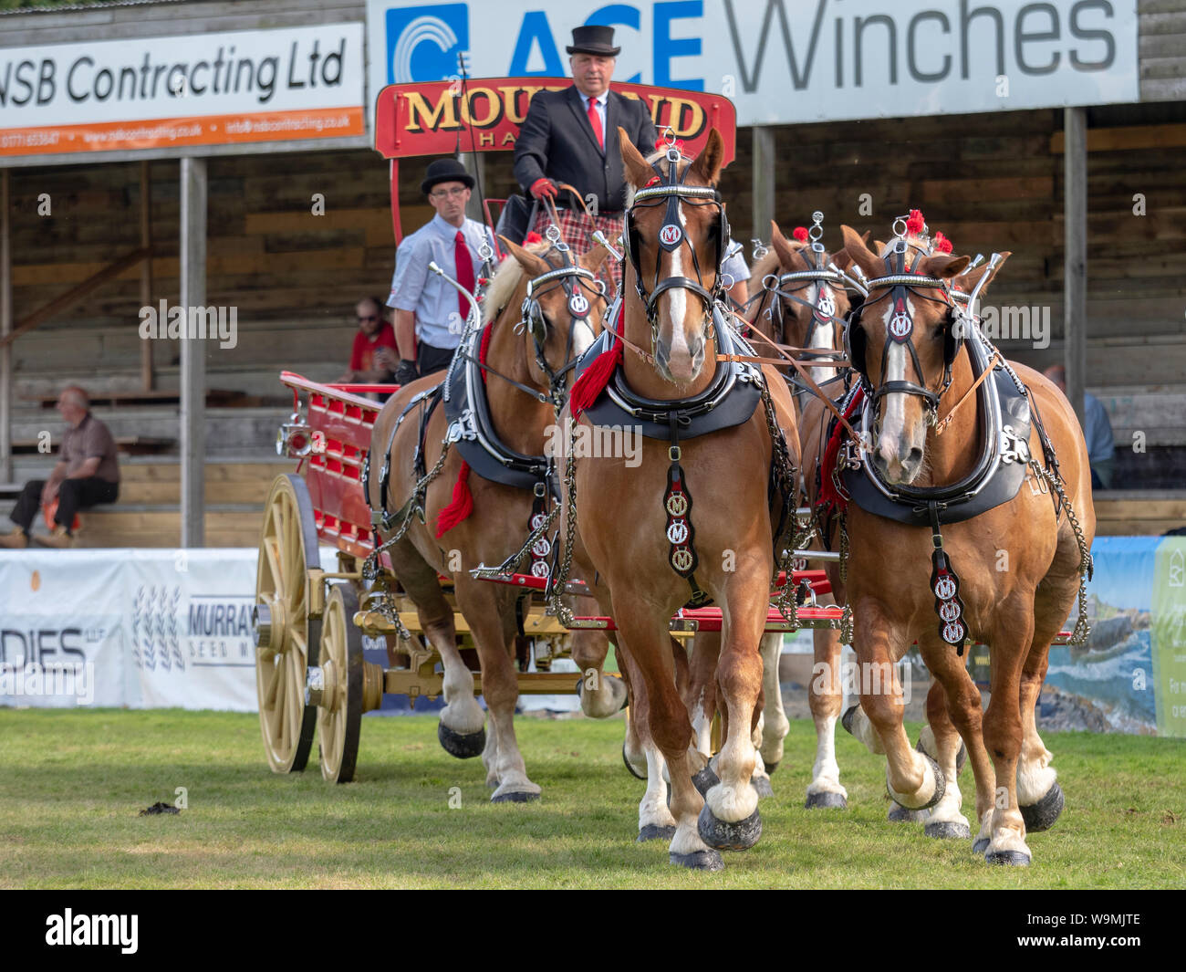 Turriff, Ecosse - Aug 05, 2019 : Affichage des chevaux et les wagons pendant la cheval lourd de participation à l'Exposition agricole Turriff en Ecosse. Banque D'Images