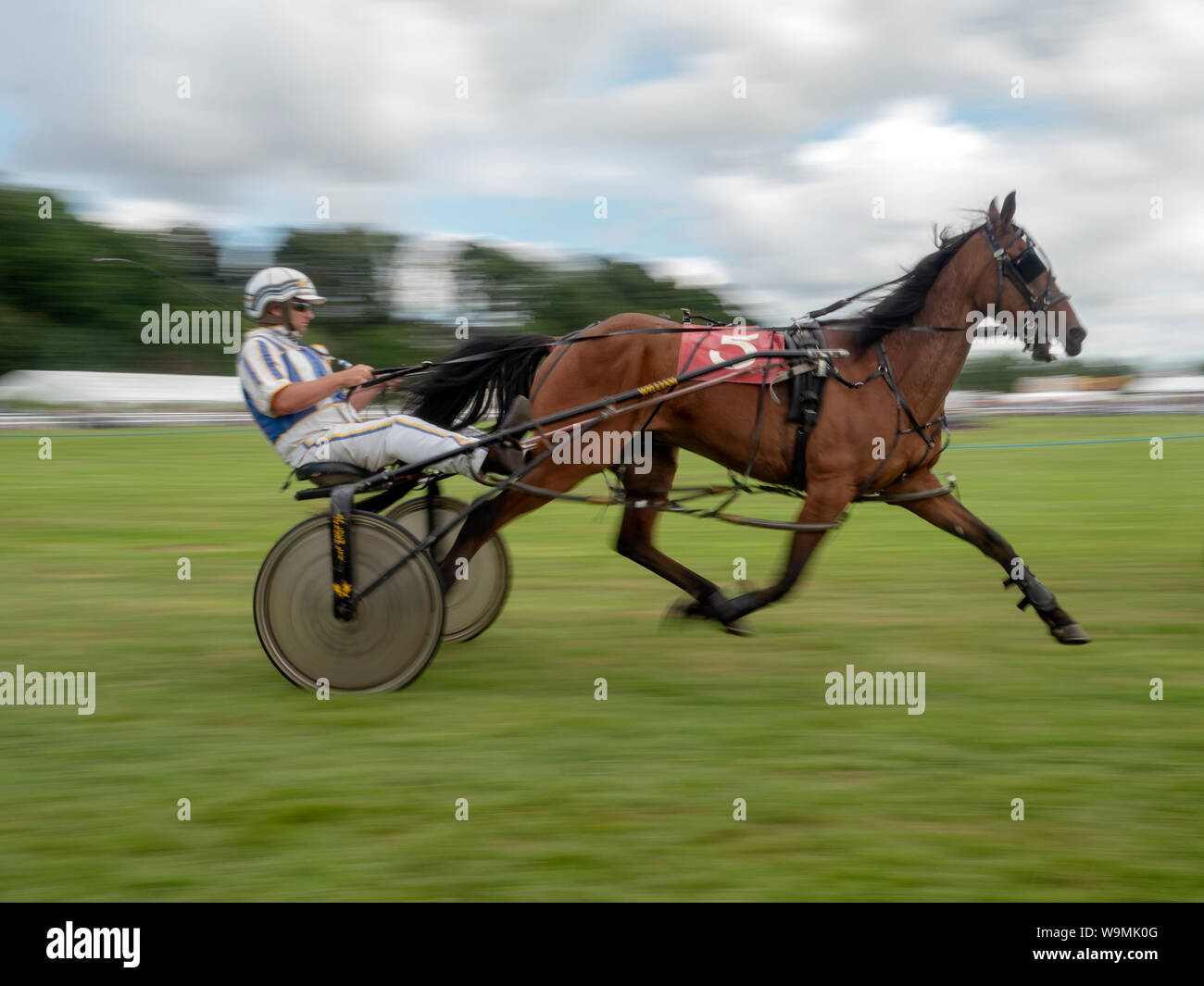 Turriff, Ecosse - Aug 05, 2019 : Course Sulky au Salon de l'agriculture 2019 Turriff Banque D'Images