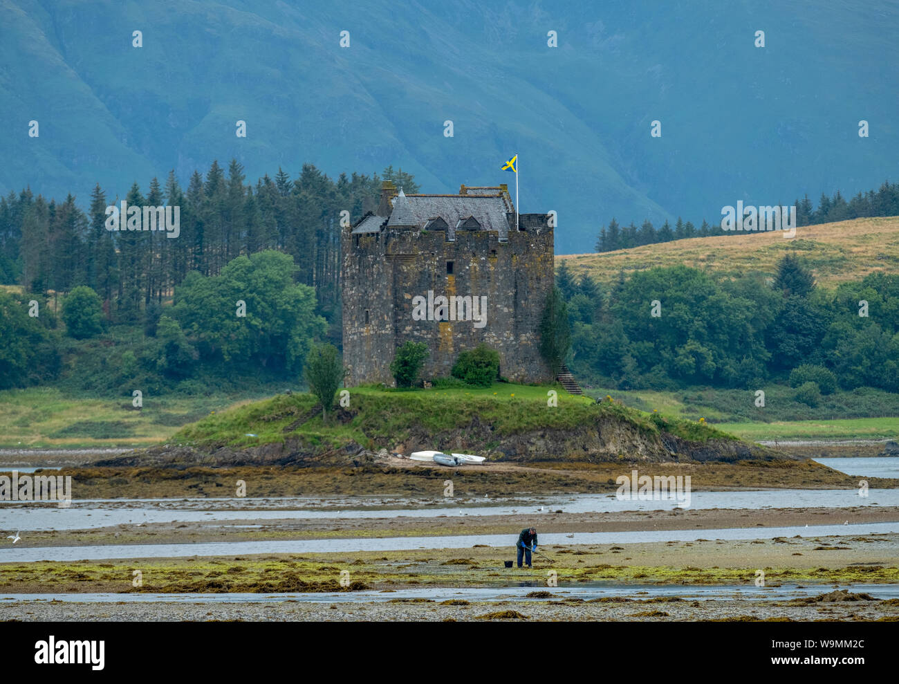 Château de Stalker photographié à marée basse, la tour médiévale maison est construite sur une petite île à l'embouchure du Loch Laich, Argyll, Scotland. Banque D'Images