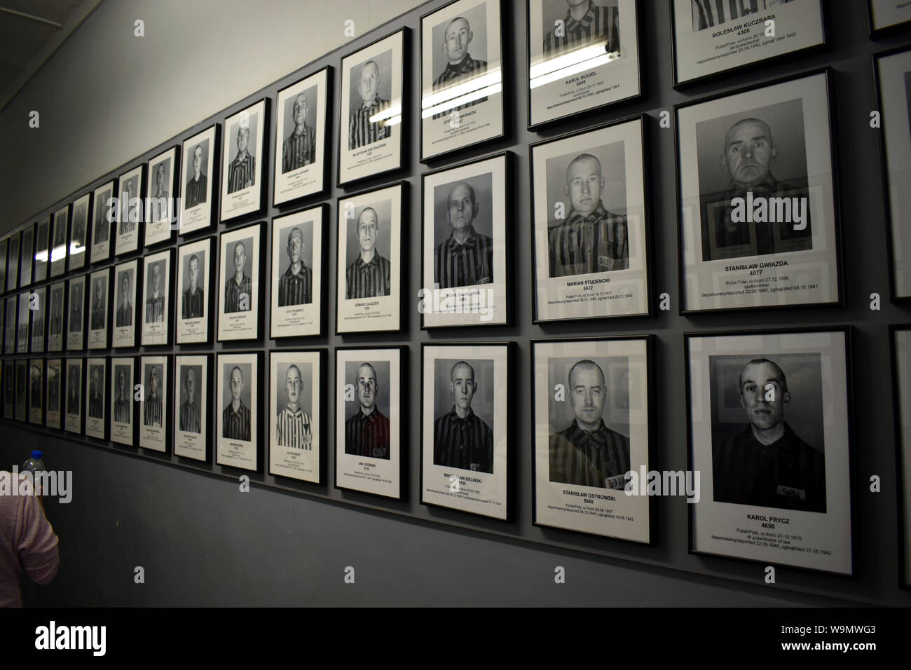 Un mur de photos des premiers prisonniers au camp de concentration en Pologne Banque D'Images
